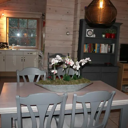 Chalet Nieuw Beusink